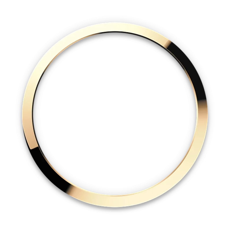 m124273-0001_bezel_p